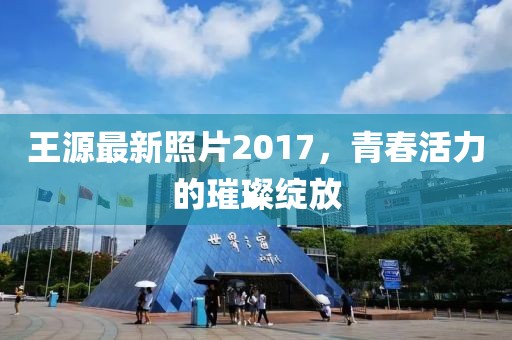 王源最新照片2017，青春活力的璀璨绽放