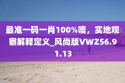 最准一码一肖100%噢，实地观察解释定义_风尚版VWZ56.91.13