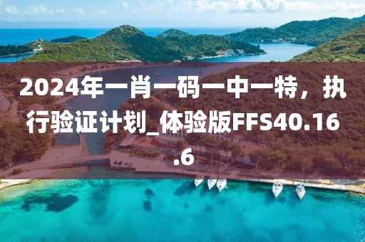 2024年一肖一码一中一特，执行验证计划_体验版FFS40.16.6
