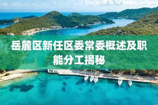岳麓区新任区委常委概述及职能分工揭秘