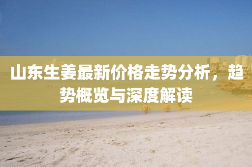 山东生姜最新价格走势分析，趋势概览与深度解读