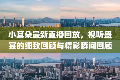 小耳朵最新直播回放，视听盛宴的细致回顾与精彩瞬间回顾