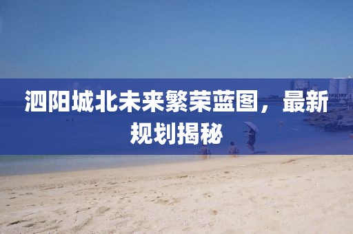 泗阳城北未来繁荣蓝图，最新规划揭秘