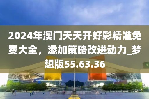 2024年澳门天天开好彩精准免费大全，添加策略改进动力_梦想版55.63.36