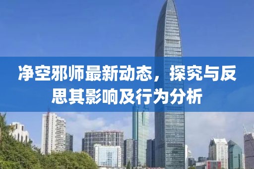 净空邪师最新动态，探究与反思其影响及行为分析