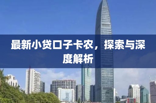 最新小贷口子卡农，探索与深度解析