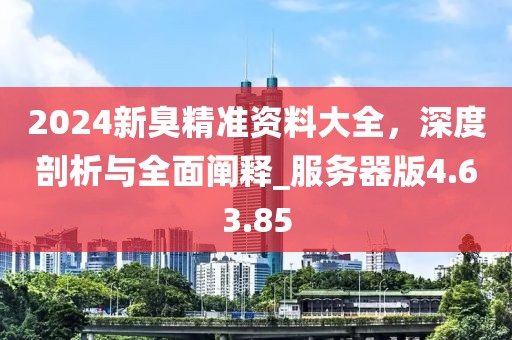2024新臭精准资料大全，深度剖析与全面阐释_服务器版4.63.85
