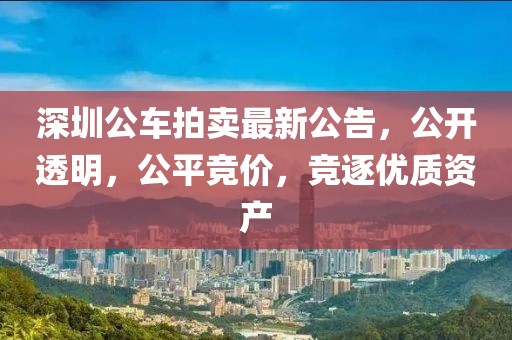 深圳公车拍卖最新公告，公开透明，公平竞价，竞逐优质资产