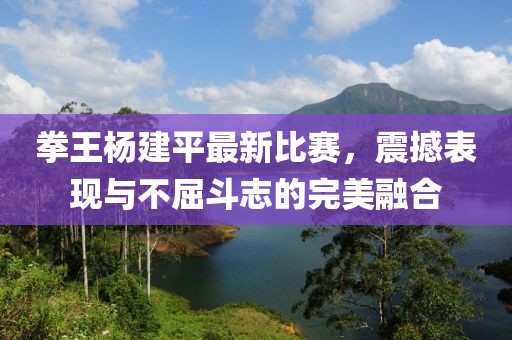 拳王杨建平最新比赛，震撼表现与不屈斗志的完美融合