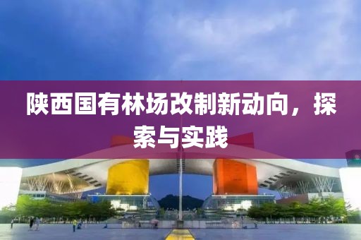 陕西国有林场改制新动向，探索与实践
