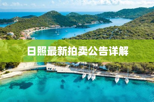 日照最新拍卖公告详解