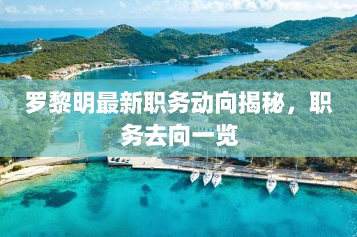 罗黎明最新职务动向揭秘，职务去向一览