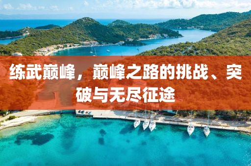 练武巅峰，巅峰之路的挑战、突破与无尽征途