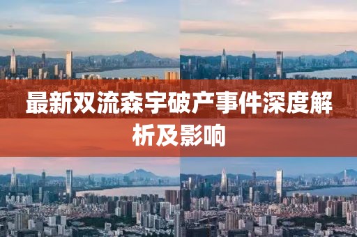 最新双流森宇破产事件深度解析及影响