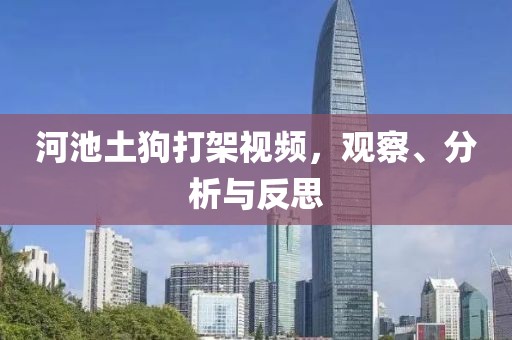 河池土狗打架视频，观察、分析与反思