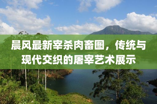 晨风最新宰杀肉畜图，传统与现代交织的屠宰艺术展示