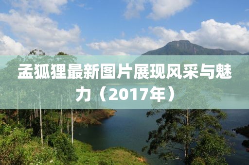 孟狐狸最新图片展现风采与魅力（2017年）