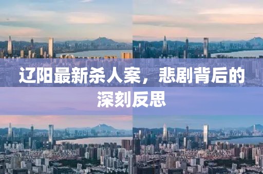 辽阳最新杀人案，悲剧背后的深刻反思