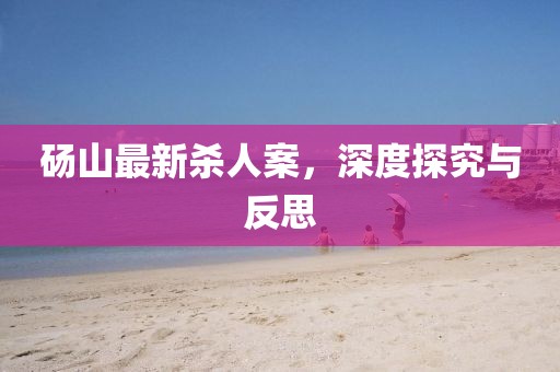 砀山最新杀人案，深度探究与反思