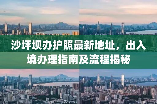 沙坪坝办护照最新地址，出入境办理指南及流程揭秘