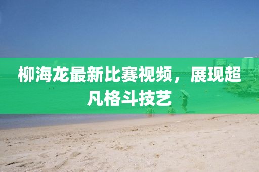 柳海龙最新比赛视频，展现超凡格斗技艺
