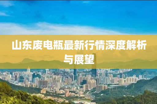 山东废电瓶最新行情深度解析与展望