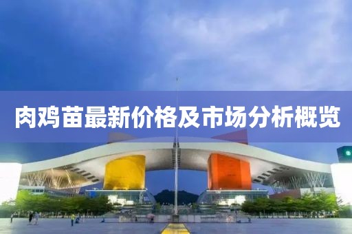 肉鸡苗最新价格及市场分析概览