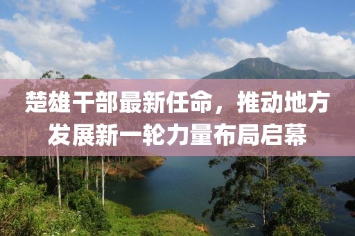 楚雄干部最新任命，推动地方发展新一轮力量布局启幕