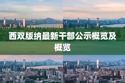 西双版纳最新干部公示概览及概览