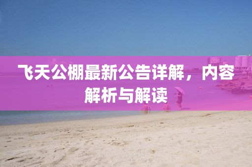 飞天公棚最新公告详解，内容解析与解读