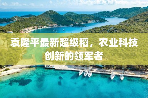 袁隆平最新超级稻，农业科技创新的领军者