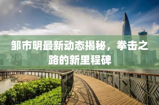 邹市明最新动态揭秘，拳击之路的新里程碑