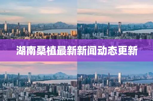 湖南桑植最新新闻动态更新