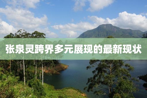 张泉灵跨界多元展现的最新现状