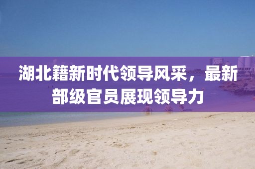 湖北籍新时代领导风采，最新部级官员展现领导力