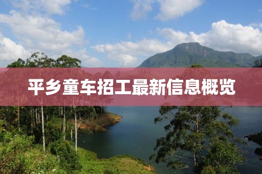 平乡童车招工最新信息概览