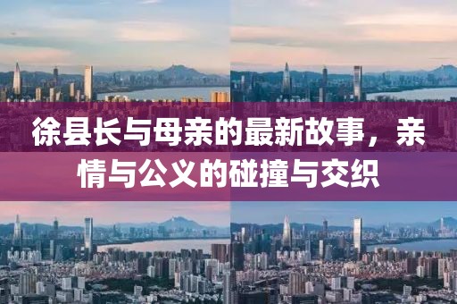 徐县长与母亲的最新故事，亲情与公义的碰撞与交织