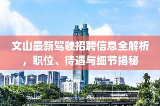 文山最新驾驶招聘信息全解析，职位、待遇与细节揭秘