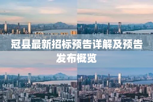 冠县最新招标预告详解及预告发布概览