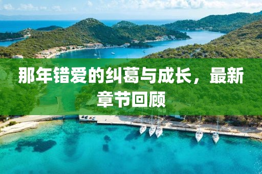那年错爱的纠葛与成长，最新章节回顾