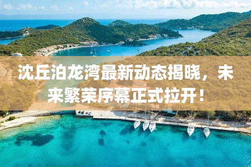沈丘泊龙湾最新动态揭晓，未来繁荣序幕正式拉开！