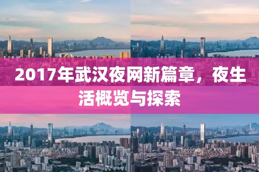 2017年武汉夜网新篇章，夜生活概览与探索