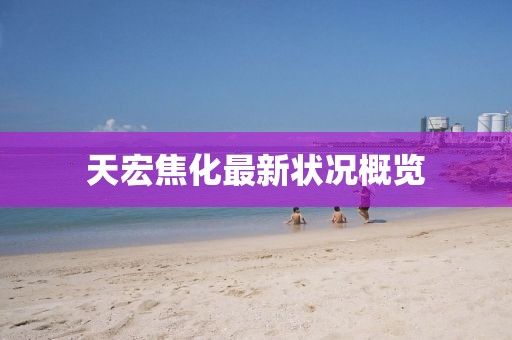 天宏焦化最新状况概览