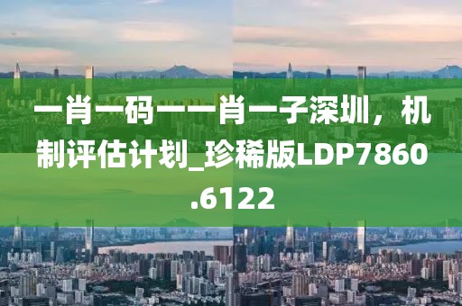 一肖一码一一肖一子深圳，机制评估计划_珍稀版LDP7860.6122