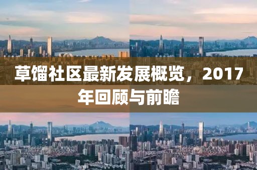 草馏社区最新发展概览，2017年回顾与前瞻
