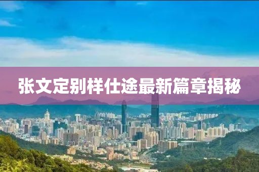 张文定别样仕途最新篇章揭秘