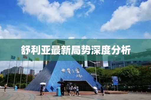 舒利亚最新局势深度分析