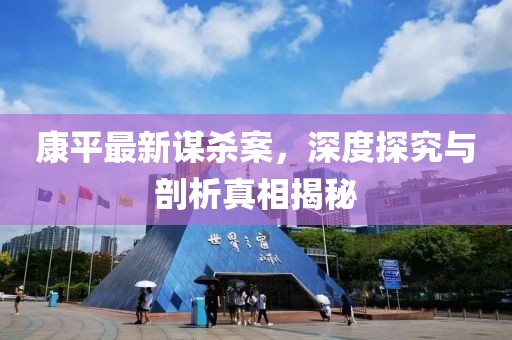 康平最新谋杀案，深度探究与剖析真相揭秘