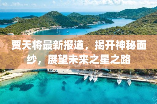 贾天将最新报道，揭开神秘面纱，展望未来之星之路