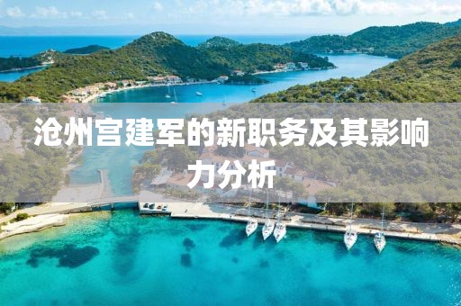 沧州宫建军的新职务及其影响力分析